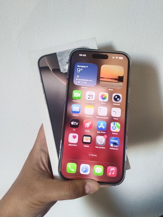 iPhone 16 Pro Max | 256 Gb | AKB 96