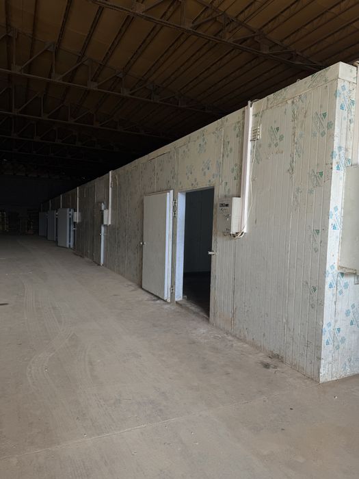 Аренда Холодильных и морозилных складов