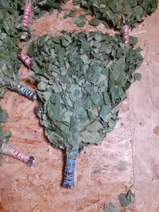 Веники березовые