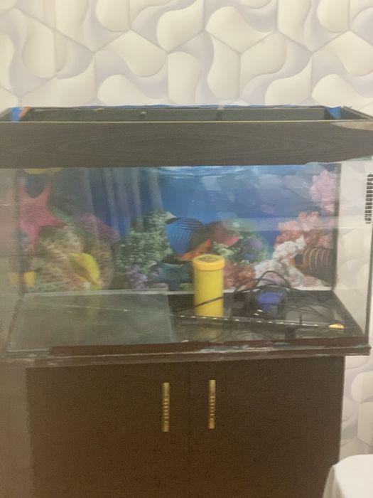 Продом акварум нет загрязнений