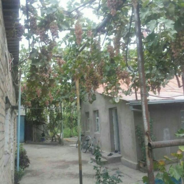 Товоксойнинг золотой точкасидан уй сотилади 12 соток