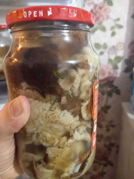 грибы соленые, маслята, вешенки, подтопольники