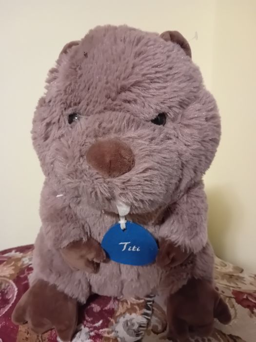 Vând plușuri diverse