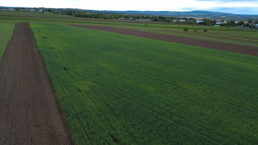 Vand teren intravilan 5200m2