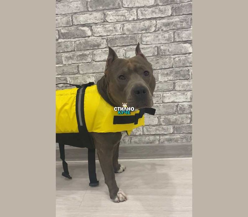 Спасителна жилетка за куче Жилетка за плуване за куче