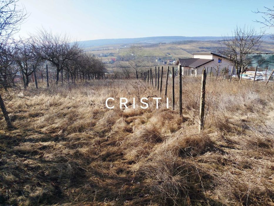 CASA Iasi_TOMESTI_CHICEREA +3812 mp teren intravilan FARA COMISION