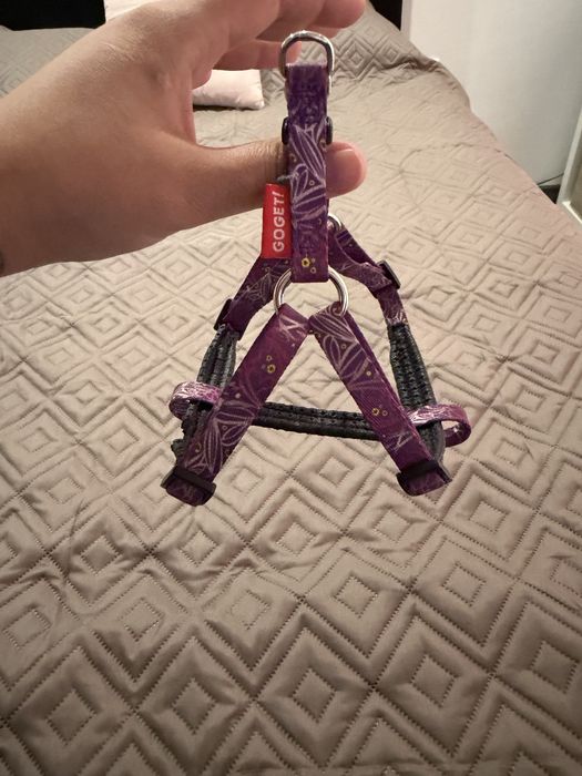 Нагрудних за малко куче