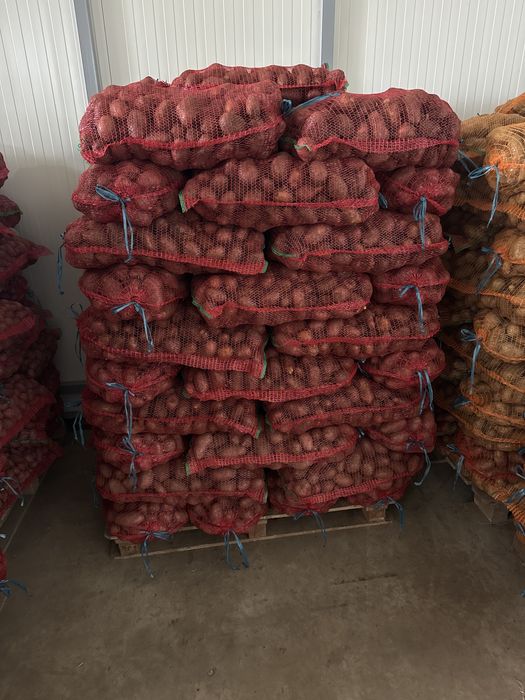 Cartofi Albi și Rozi