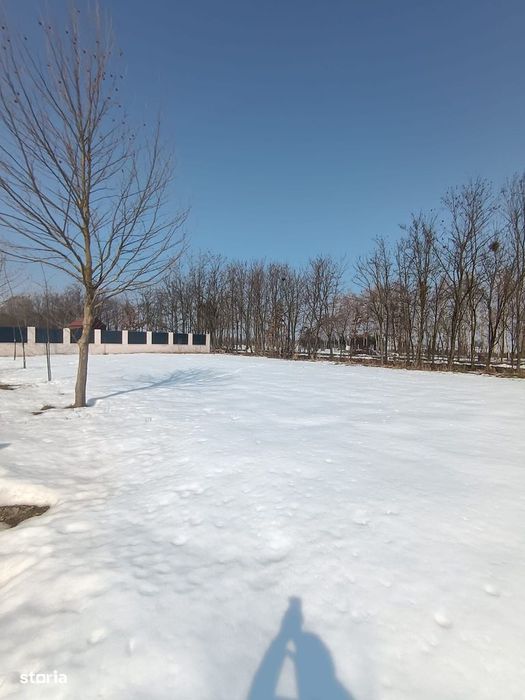 Teren de vanzare,proiect de casa,Cartierul Olandez, Joița, Giurgiu