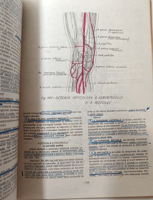 Carte medicina: Anatomia Omului (nr.2: Membrele )