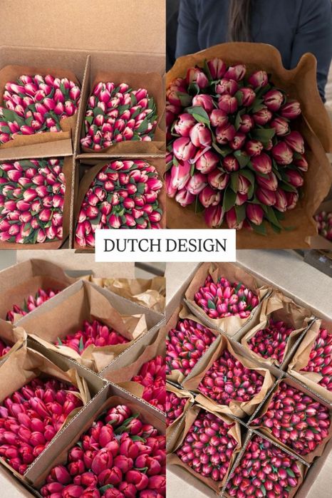 Свежие БОЛЬШИЕ тюльпаны на 8 марта