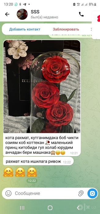 Живая роза колбе падарок