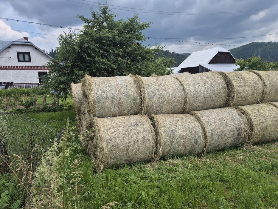 Baloti rotunzi de vanzare.