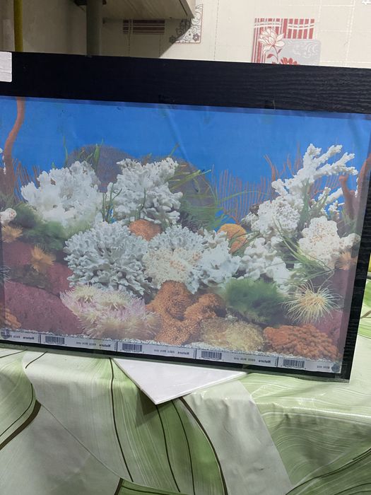 Продается Аквариум