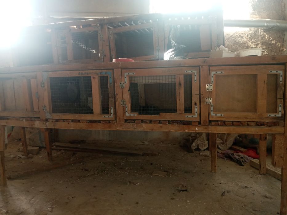 Клетки для кроликов Куёнлар учун кафас