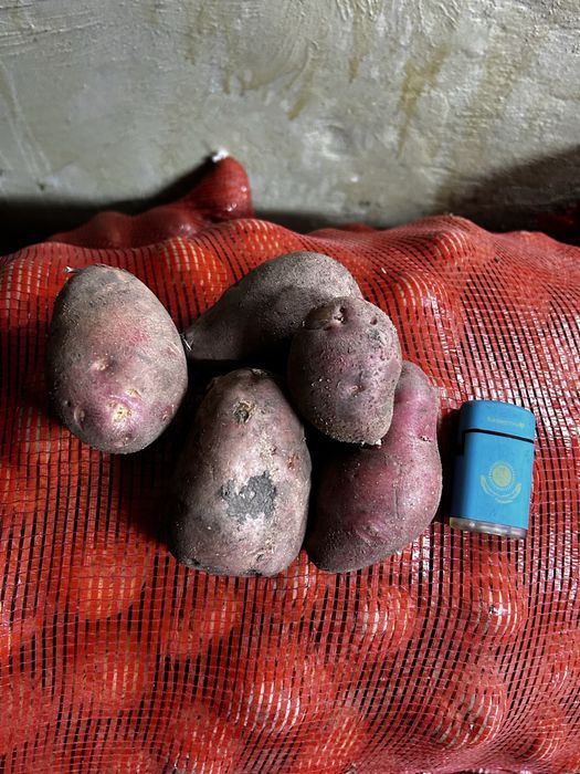 Продам картошку в мешках