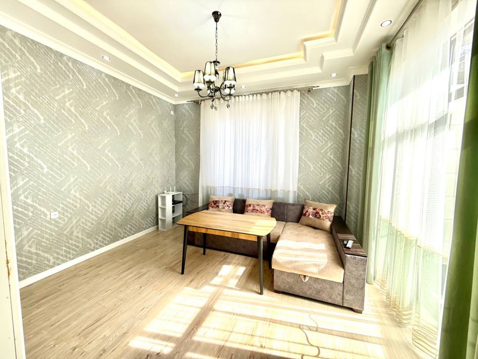 Аренда евродома в центре города