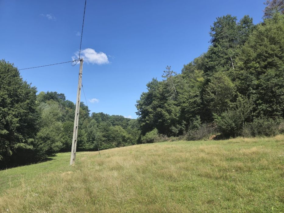 Vind loc cabana 800 mp teren intravilan Rosia zona .Valea Dâlbii.