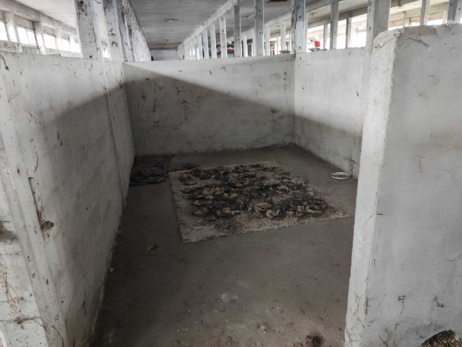 Под наем производствена сграда  1000 кв. м. и УПИ с площ 5000 кв. м.,