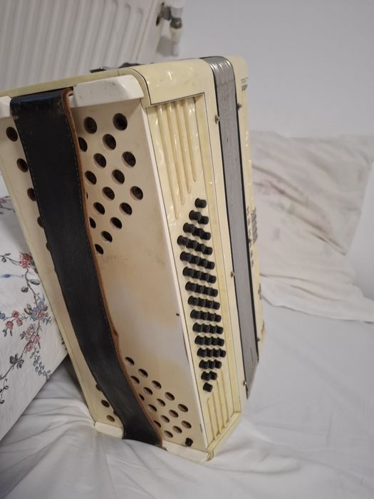 Vind acordeon profesional studiu