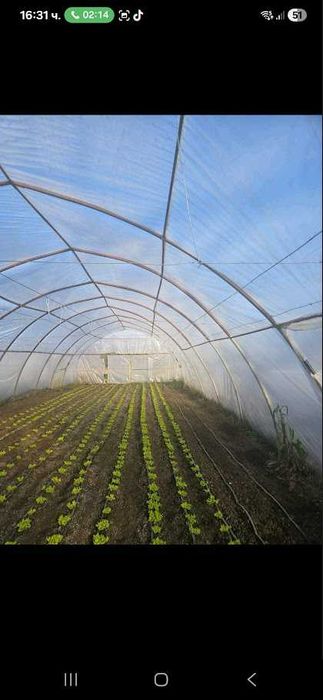 Оранжерии на  3г. + найлон