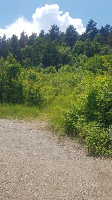 Продава се Парцел в Кюстендил, Център - 1430 кв.м за 77 €/кв.м - Снимка #4