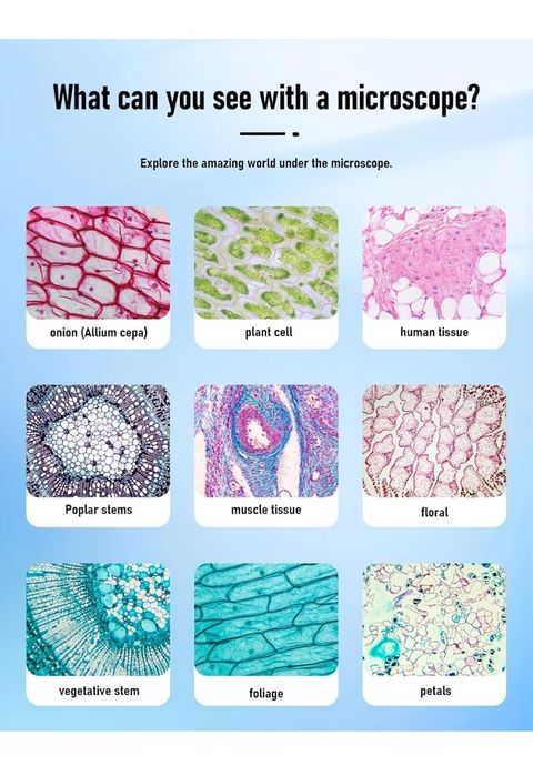 Microscop electronic școală copii invatare prin joaca