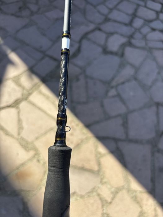 Спининг въдица за лайт риболов