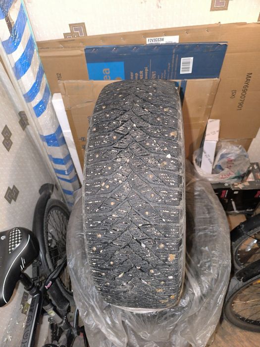 Шины зимние  Triangel