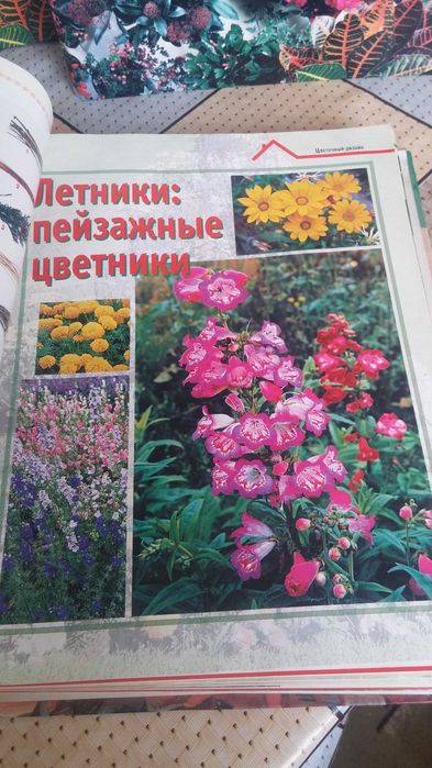 Продам книгу Комнатные растения.