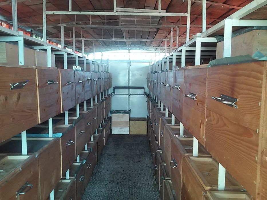 Vând pavilion apicol