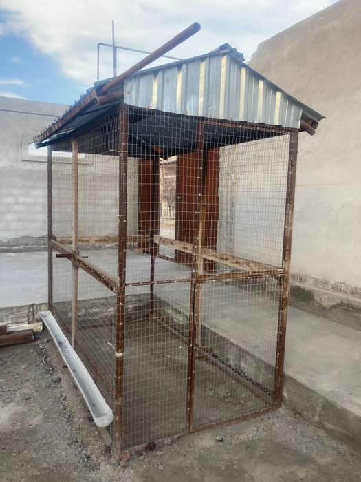 Tovuq uchun katakxona