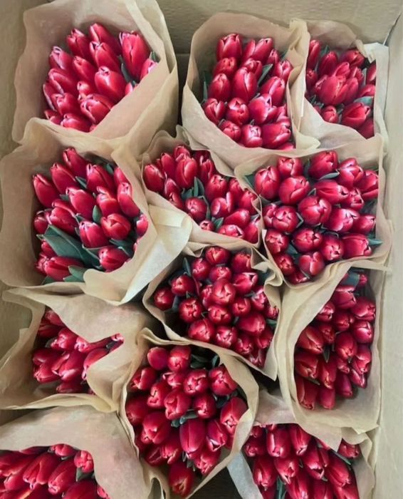 Тюльпаны по выгодной цене