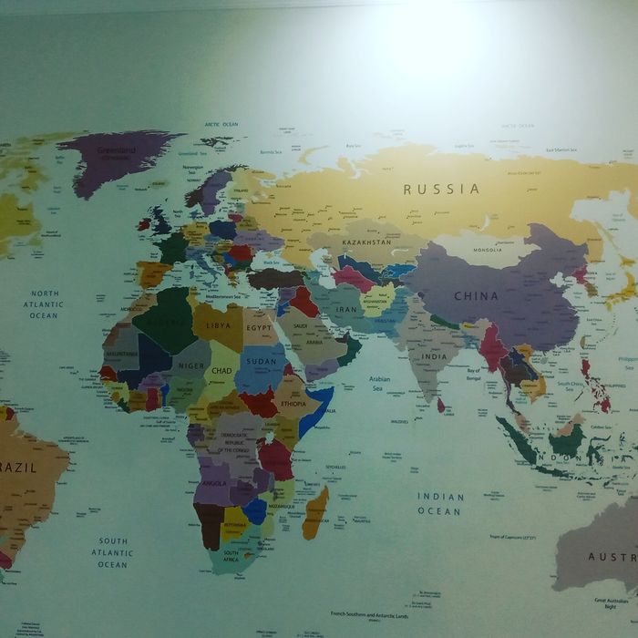 Поклейка обоев и галтелей