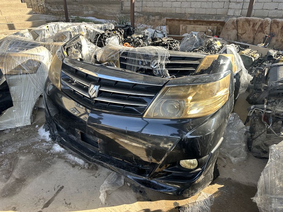 Мини морда на альфард