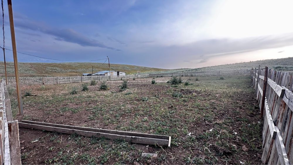 Фазенда для КРС и птицы