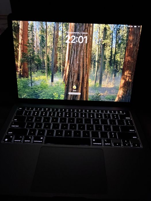 Apple Macbook Air M1