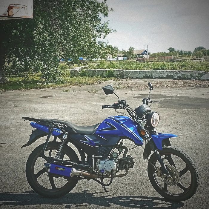 альфа спорт 125 кубов