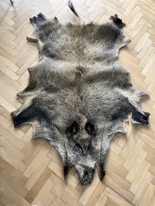 Кожа от Глиган Диво прасе