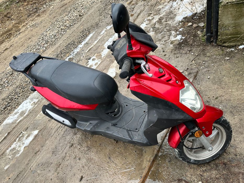 SYM 50 cm / 2400 LEI