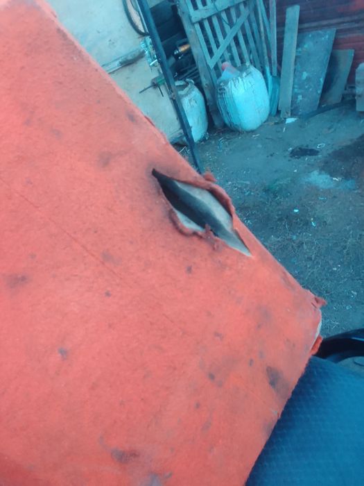 Продам самбуфер пиранья