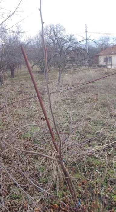 Продава се Парцел в с. Леденик, Област Велико Търново - 720 кв.м за 59 €/кв.м - Снимка #2