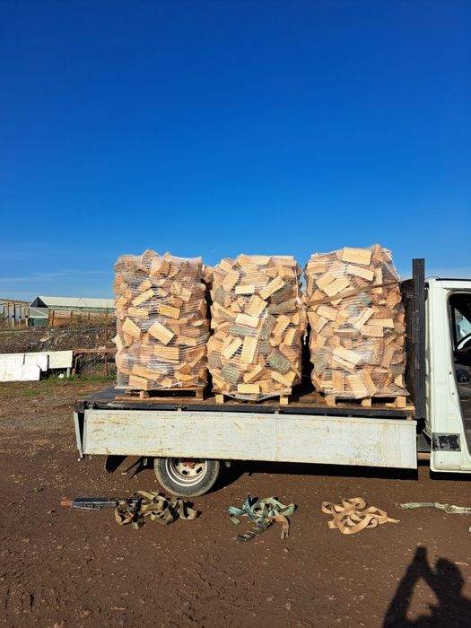 Lemne de foc fag tăiate și crăpate