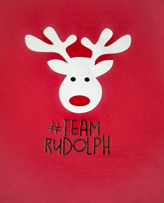 Коледен суичър с щампа Team Rudolf, Familysta