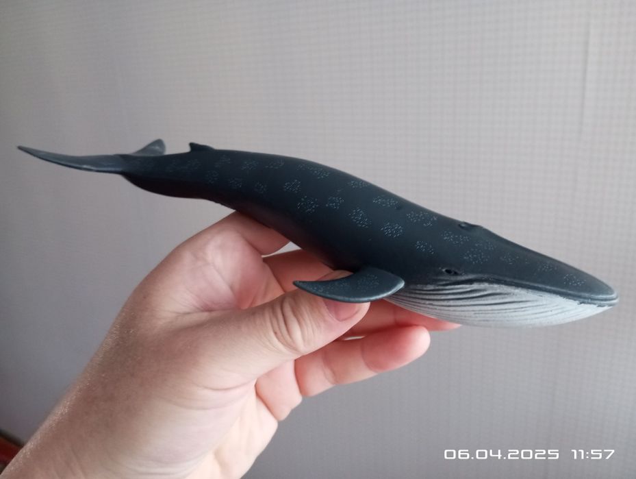 Игрушки детские касатка, акула, кит