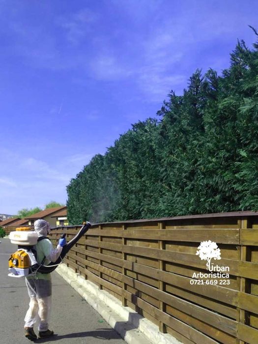 Pret Toaletat Copaci - Îngrijire arbori - Toaletare pomi stropit