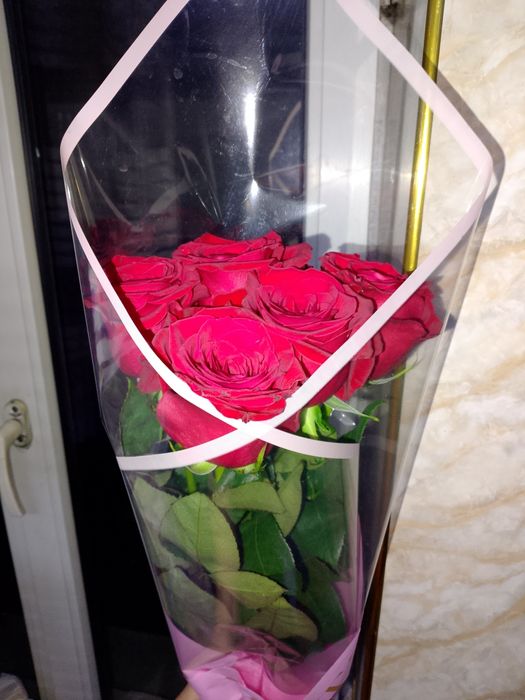 Метровые розы красный