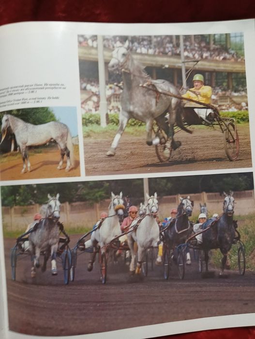 Книга Ветер в гриву HORSES. 1976г.