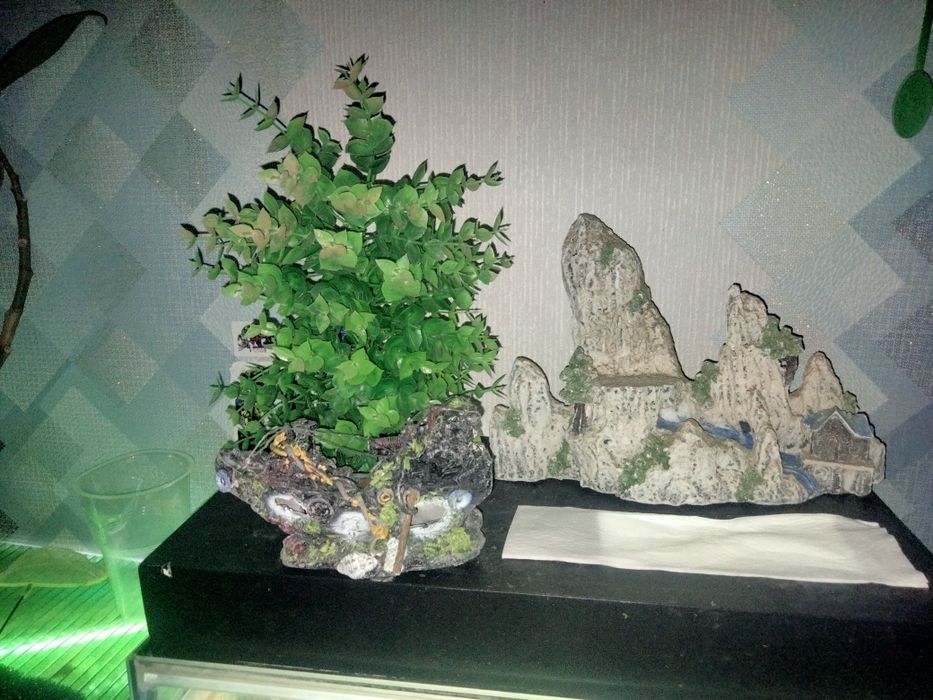 Продам декор все коплект 7000тг