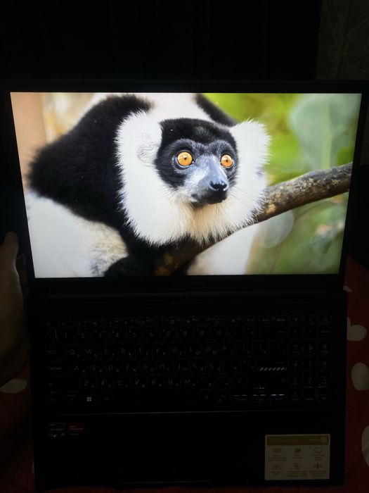 Asus vivobook Go 14/15